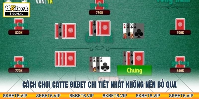 Cách chơi Catte 8kbet chi tiết nhất không nên bỏ qua