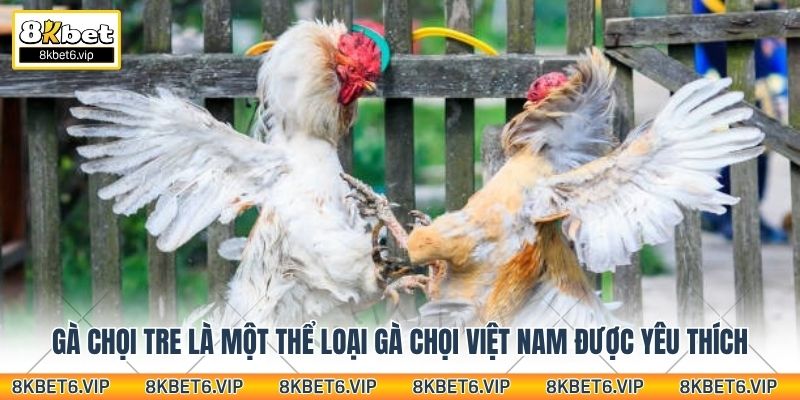 Gà chọi tre là một thể loại gà chọi Việt Nam được yêu thích