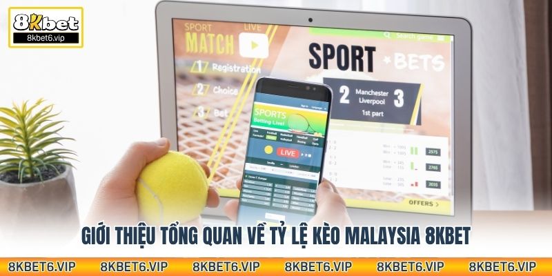 Giới thiệu tổng quan về tỷ lệ kèo Malaysia 8Kbet
