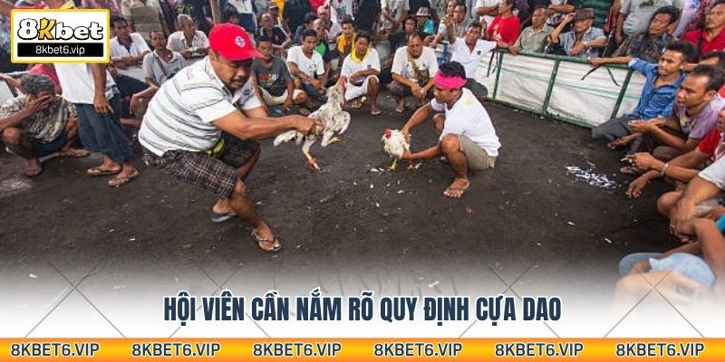 Hội viên cần nắm rõ quy định cựa dao
