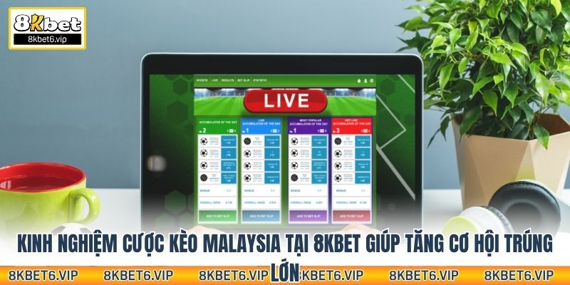 Kinh nghiệm cược kèo Malaysia tại 8Kbet giúp tăng cơ hội trúng lớn