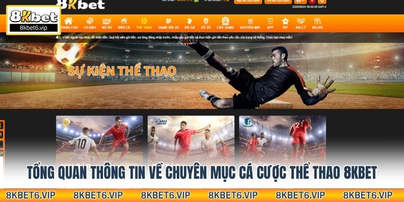 Tổng quan thông tin về chuyên mục cá cược thể thao 8Kbet