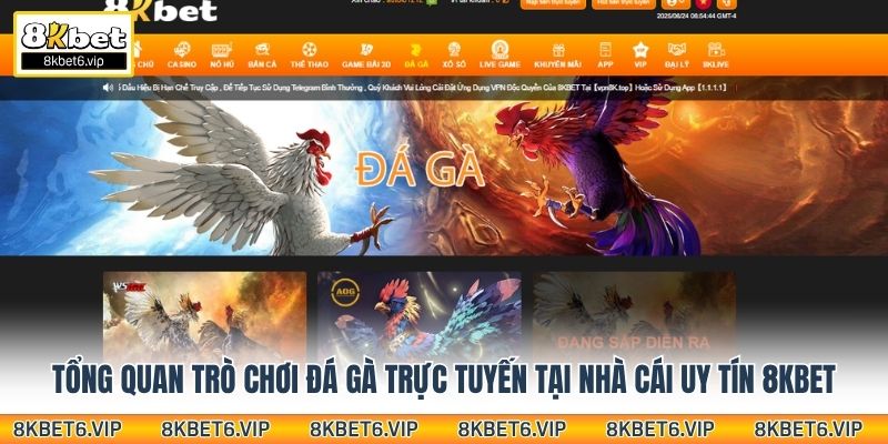 Tổng quan trò chơi đá gà trực tuyến tại nhà cái uy tín 8Kbet