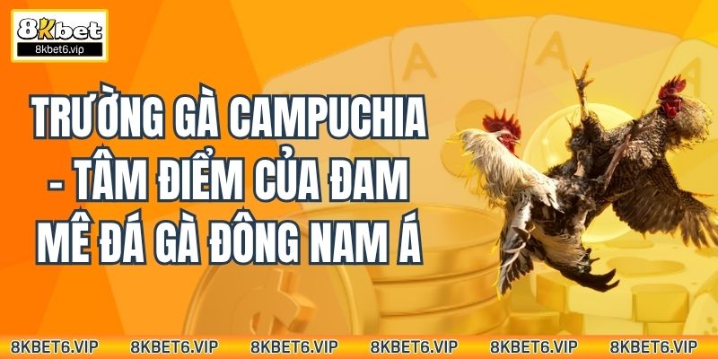 Trường Gà Campuchia – Tâm Điểm Của Đam Mê Đá Gà Đông Nam Á